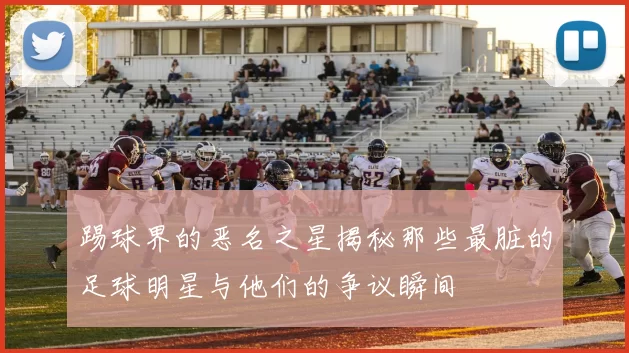 踢球界的恶名之星揭秘那些最脏的足球明星与他们的争议瞬间