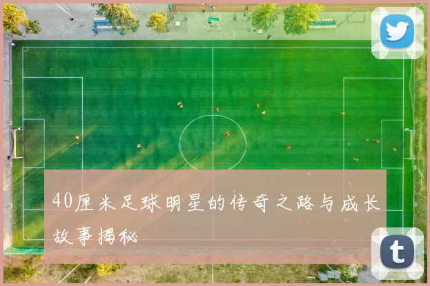 40厘米足球明星的传奇之路与成长故事揭秘