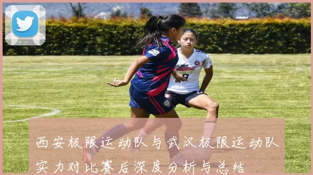 西安极限运动队与武汉极限运动队实力对比赛后深度分析与总结
