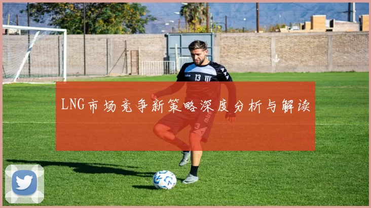 LNG市场竞争新策略深度分析与解读