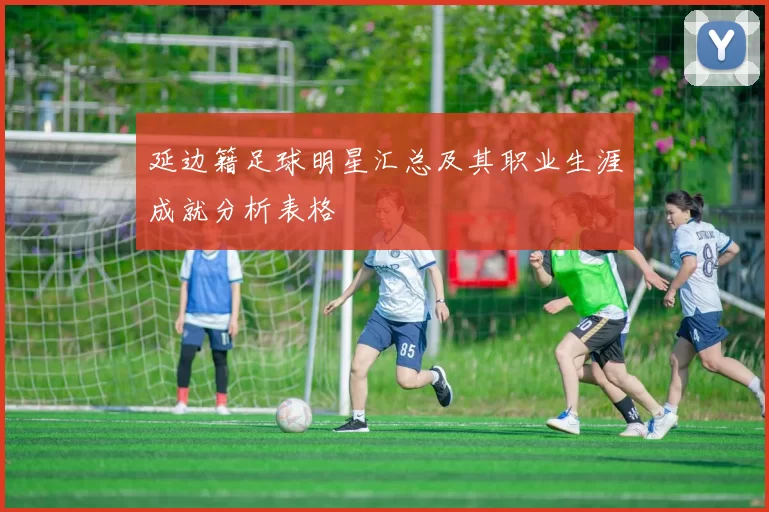 延边籍足球明星汇总及其职业生涯成就分析表格