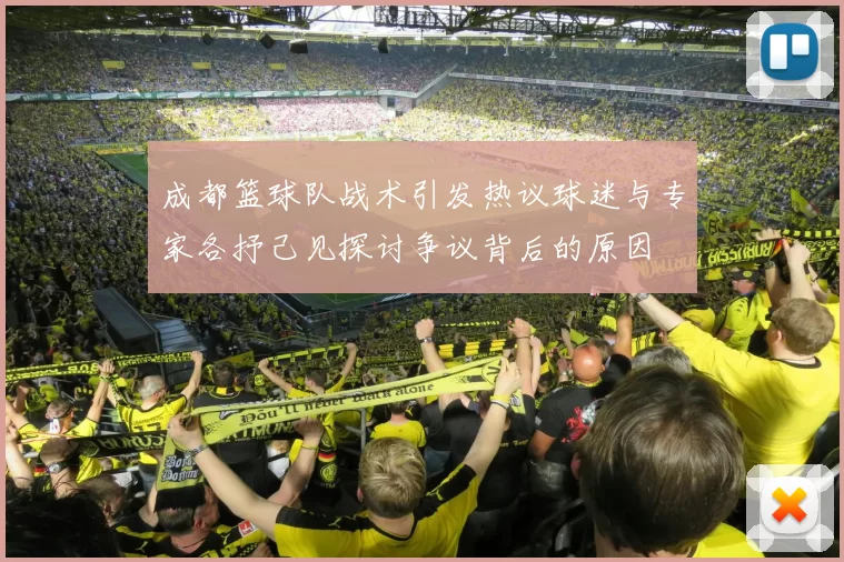 成都篮球队战术引发热议球迷与专家各抒己见探讨争议背后的原因