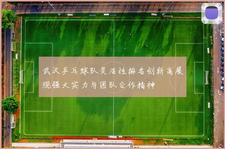 武汉乒乓球队灵活性排名创新高展现强大实力与团队合作精神