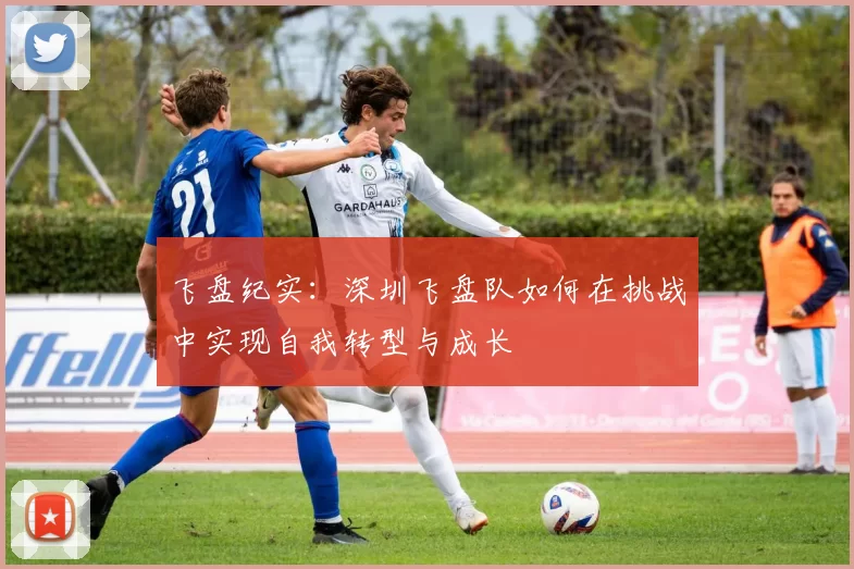 飞盘纪实：深圳飞盘队如何在挑战中实现自我转型与成长