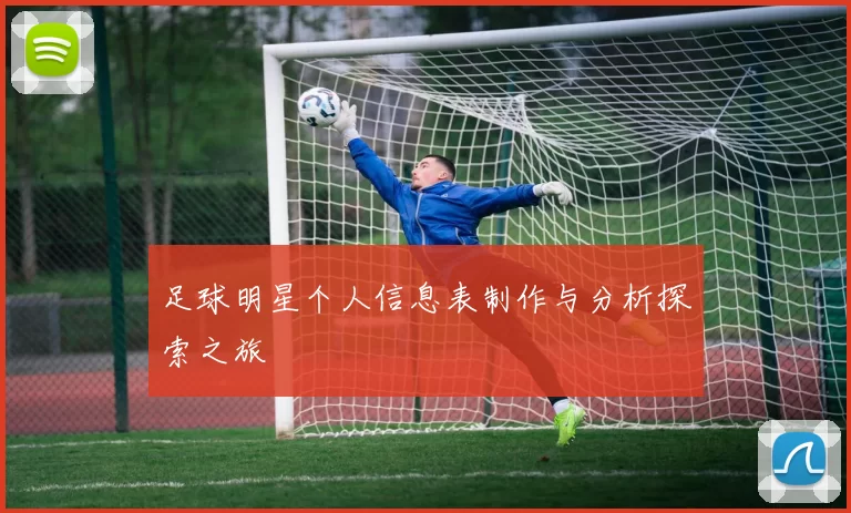 足球明星个人信息表制作与分析探索之旅
