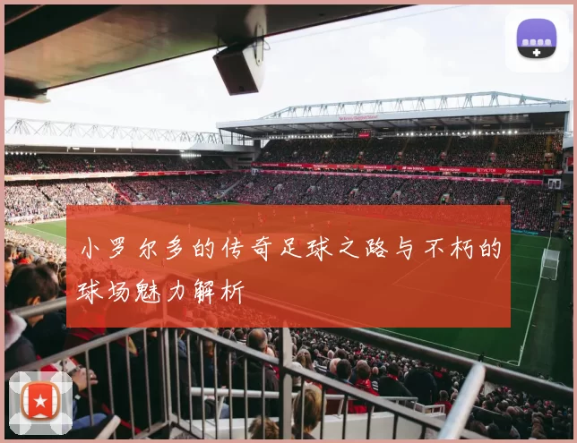 小罗尔多的传奇足球之路与不朽的球场魅力解析