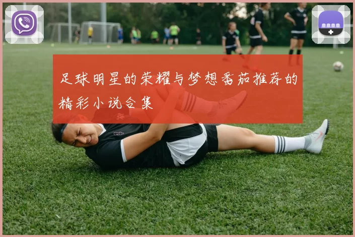 足球明星的荣耀与梦想番茄推荐的精彩小说合集