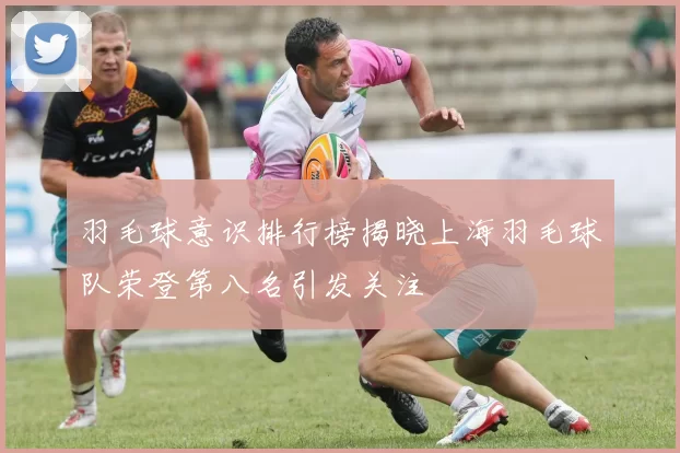 羽毛球意识排行榜揭晓上海羽毛球队荣登第八名引发关注