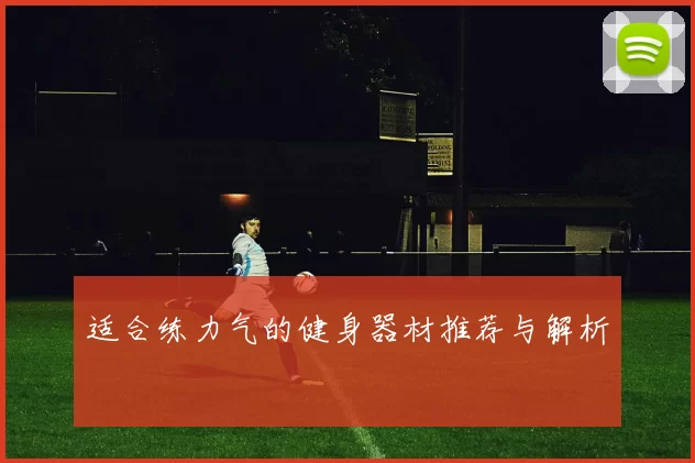 适合练力气的健身器材推荐与解析