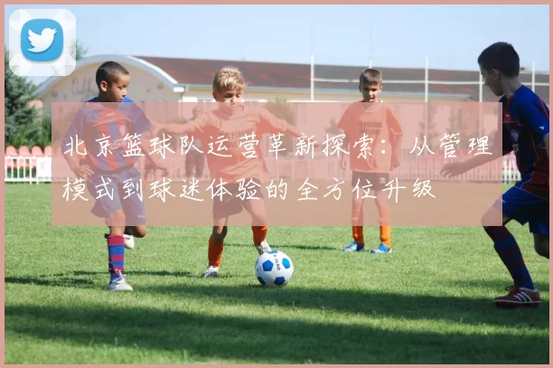 北京篮球队运营革新探索：从管理模式到球迷体验的全方位升级