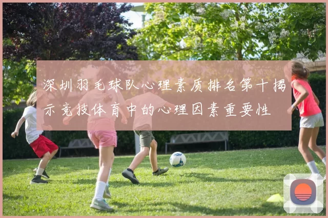 深圳羽毛球队心理素质排名第十揭示竞技体育中的心理因素重要性