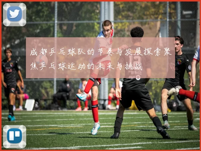 成都乒乓球队的节奏与发展探索聚焦乒乓球运动的未来与挑战