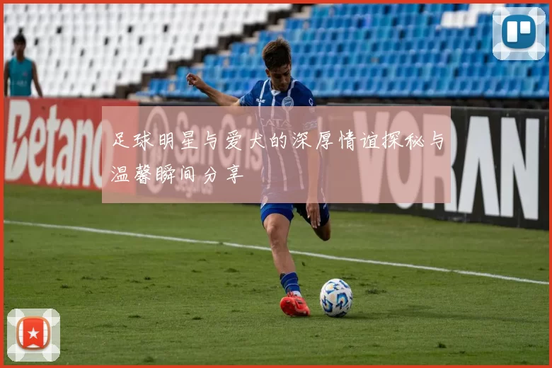 足球明星与爱犬的深厚情谊探秘与温馨瞬间分享