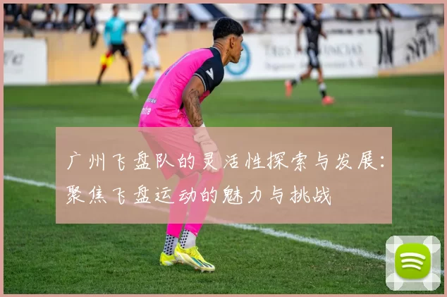 广州飞盘队的灵活性探索与发展：聚焦飞盘运动的魅力与挑战
