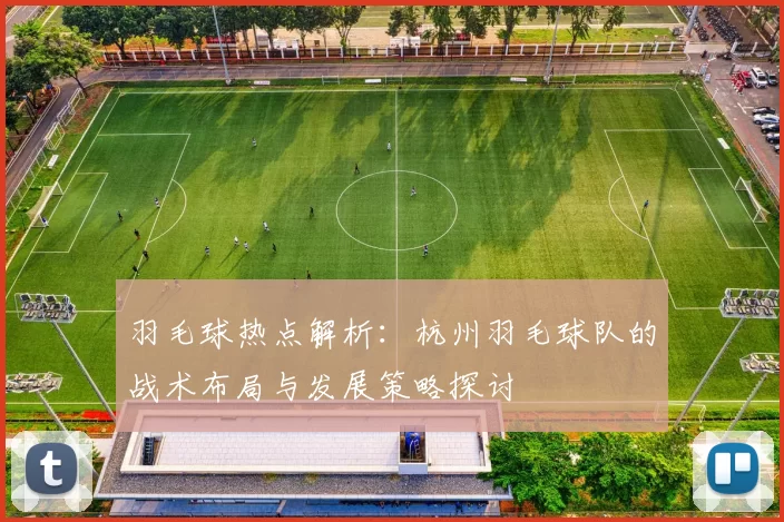 羽毛球热点解析：杭州羽毛球队的战术布局与发展策略探讨