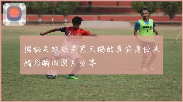 揭秘足球明星黑天鹅的真实身份及精彩瞬间图片分享