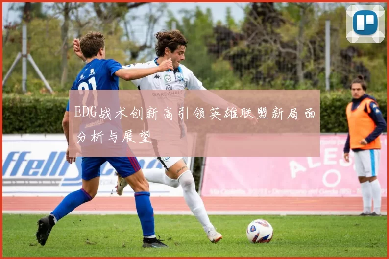 EDG战术创新高引领英雄联盟新局面分析与展望