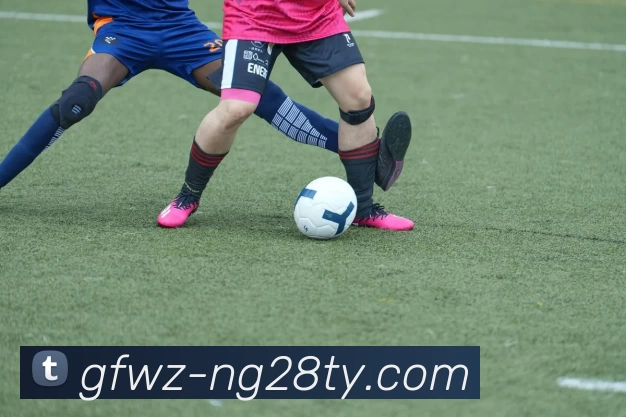 ng28.com平台生态图